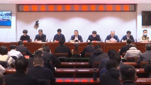 武强县召开党史学习教育总结会议